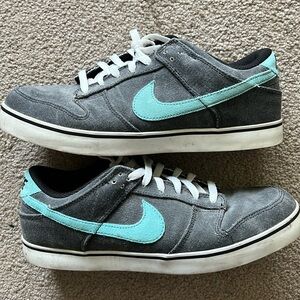 RARE NIKE DUNK SE CANVAS 6.0 Size 11.5